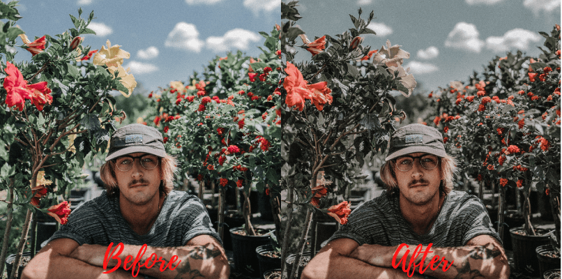 8 Lightroom Presets Package - Presets Mobile Desktop - Chic Luxury Preset - Dream Travel Preset - Hipster Preset - Indonesia Preset - Lifestyle Vibes Preset - Mediterranean Preset - Natural Mood Preset - Urban Preset