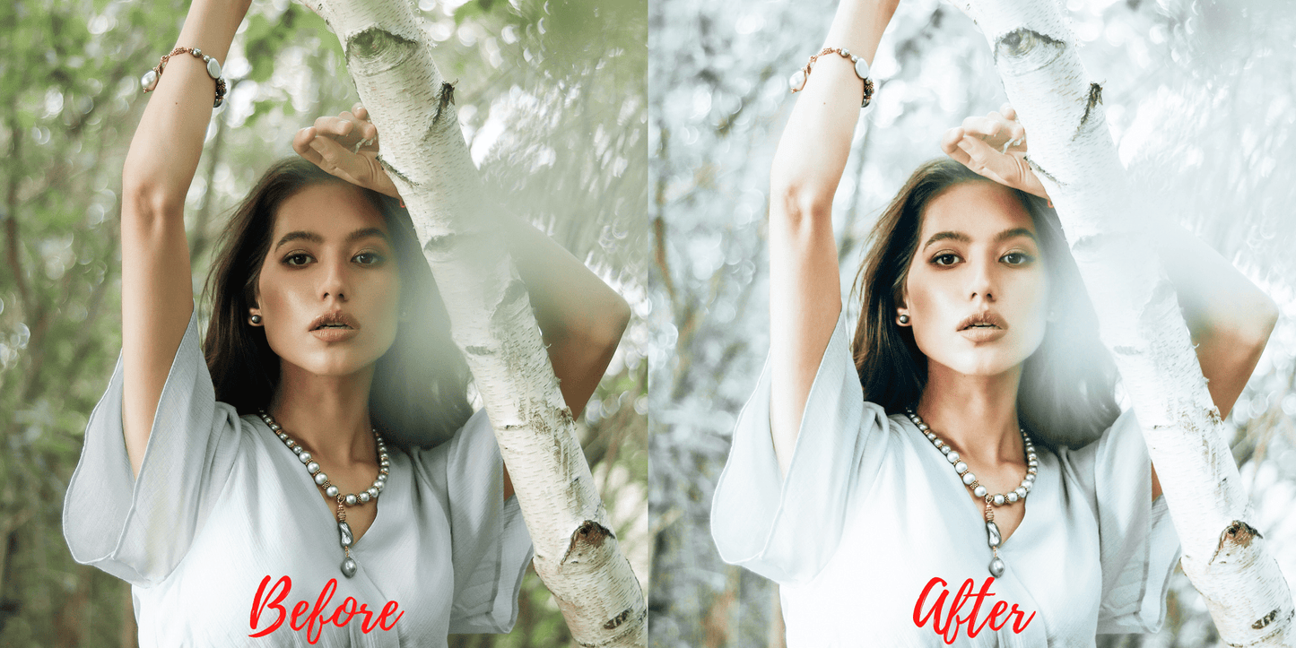 8 Lightroom Presets Package - Presets Mobile Desktop - Chic Luxury Preset - Dream Travel Preset - Hipster Preset - Indonesia Preset - Lifestyle Vibes Preset - Mediterranean Preset - Natural Mood Preset - Urban Preset