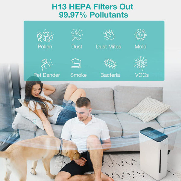 User-Friendly Air Purifier with High Efficiency and Wide Coverage Filtration - 100% Ozone Free Low Noise Air Cleaner