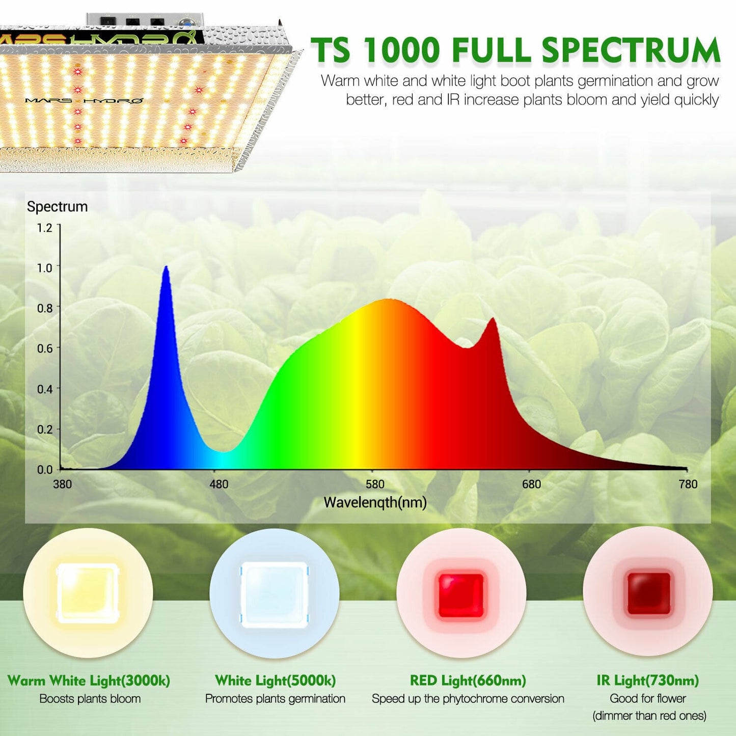 Mars Hydro - LED Grow Light - Full Spectrum Home Tent Kits